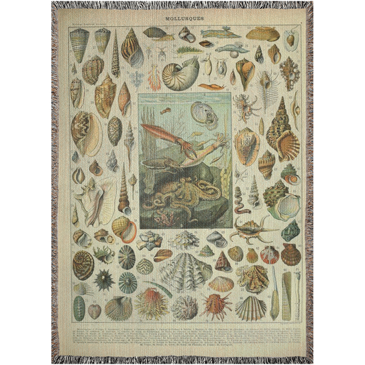 Adolphe Millot Mollusque Woven Blanket