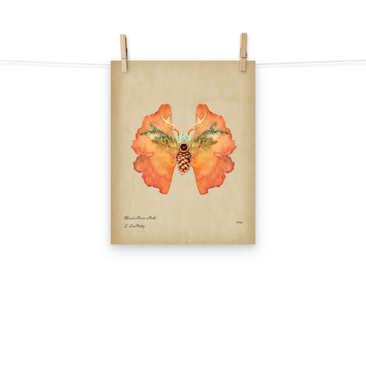 Blood Moon Moth Print | Museum-Quality Posters on Thick Matte Paper | Brighten Your Space with Maine Art